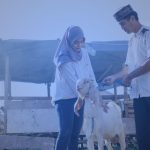 Tips Qurban Tiap tahun