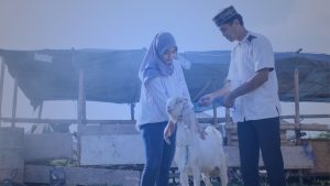 Tips Qurban Tiap tahun
